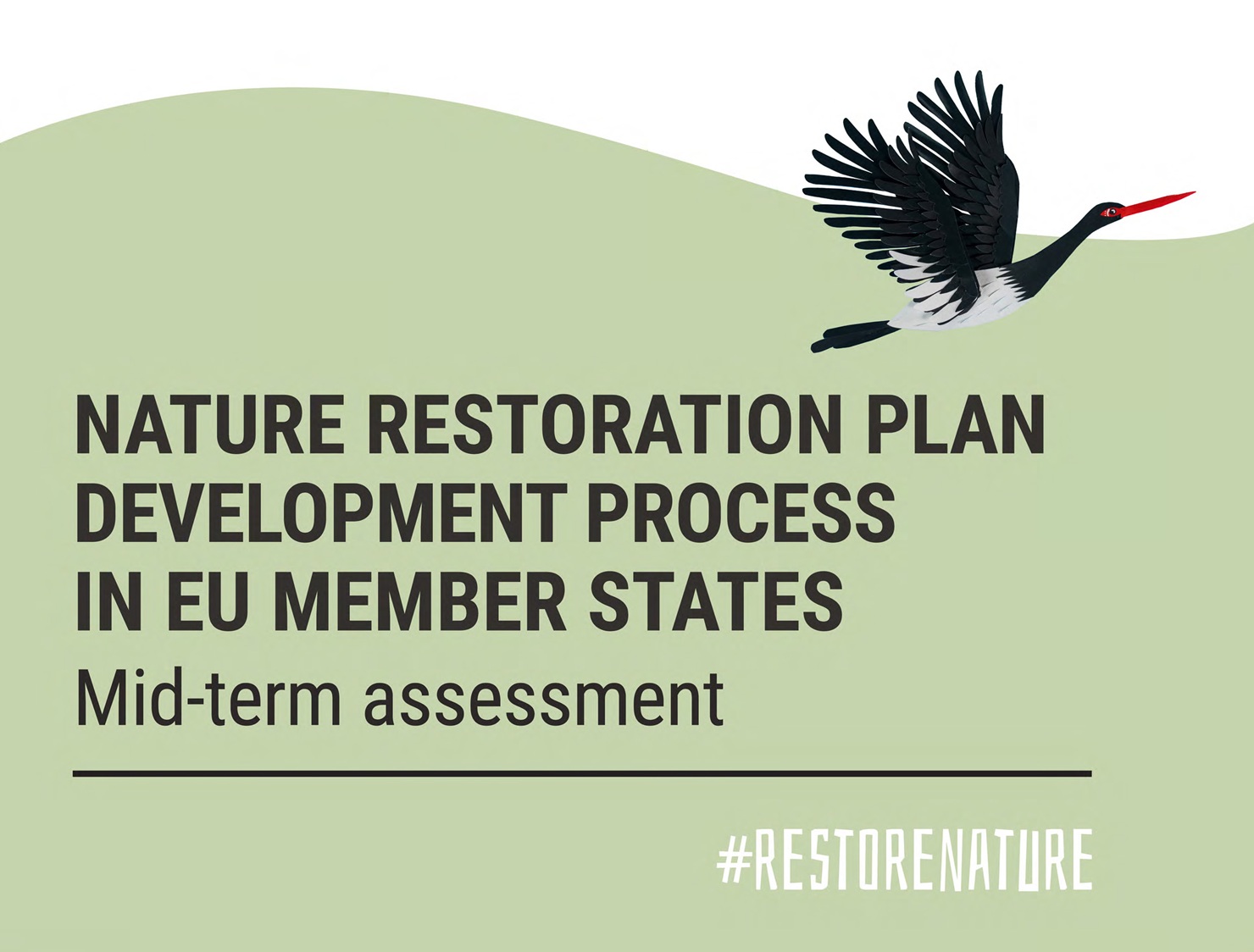Ote ennallistamisasetuksen väliarvioraportin kannesta
