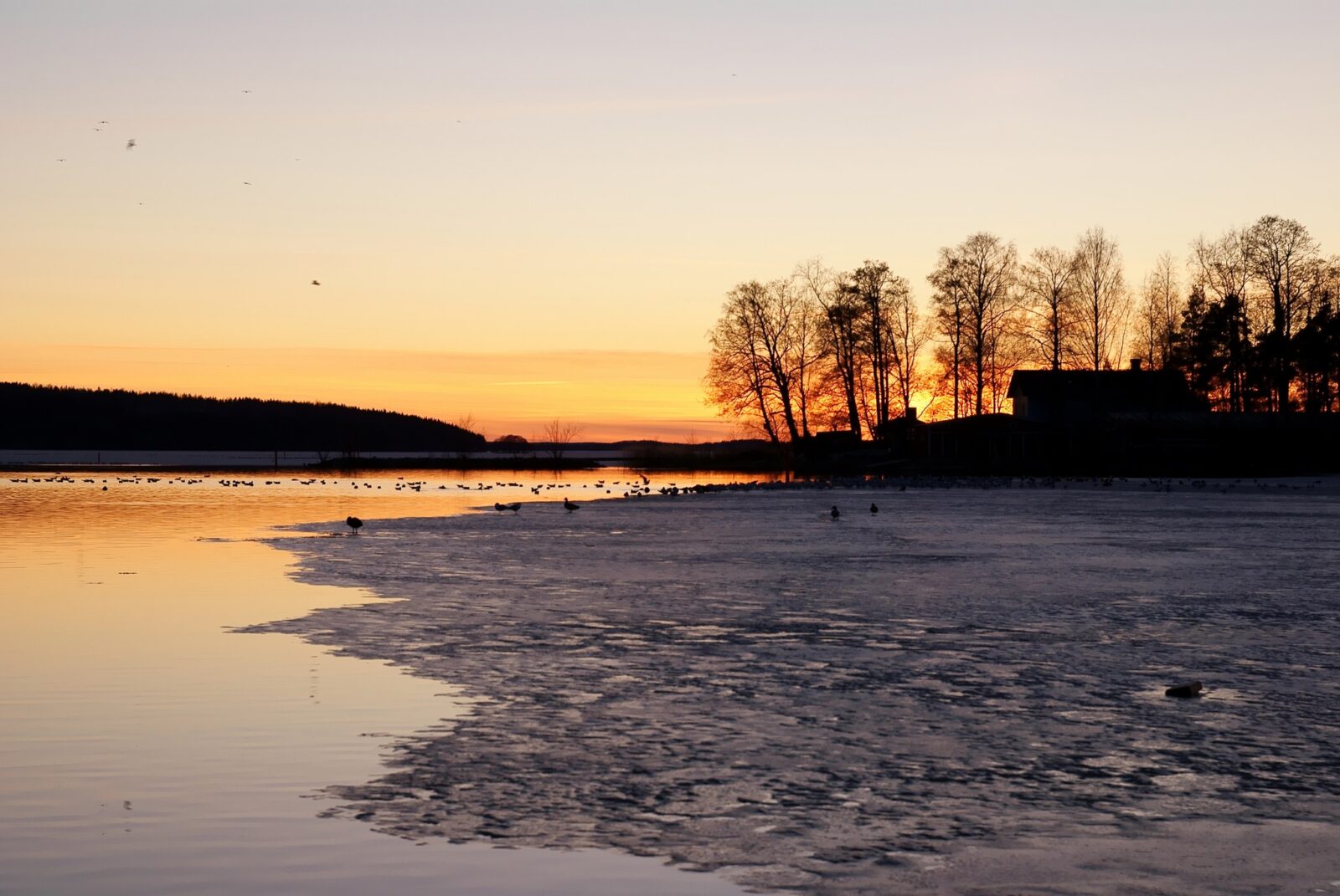Lahti, Myllysaari. Keväinen järvimaiseman siluetti iltaruskossa, jäänreunassa siluetteina näkyviä sorsia. (Kuva: Visit Lahti / Mikko Jauhiainen)