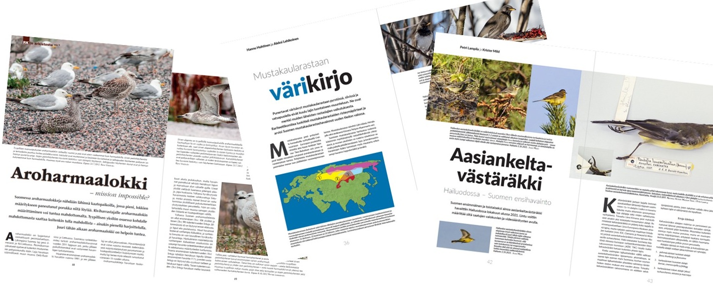 Linnut-lehdissä julkaistujen määritysjuttujen aukeamia