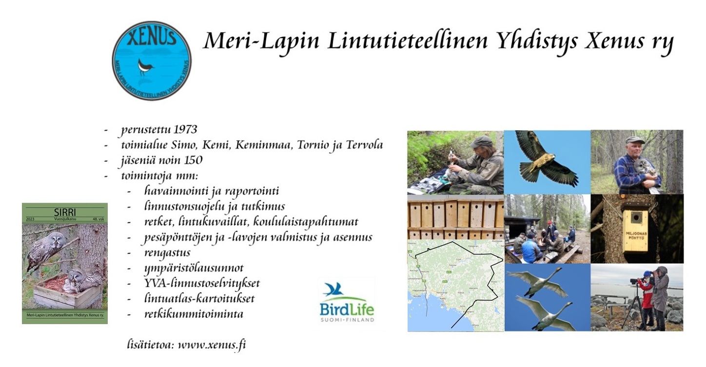 Meri-Lapin Lintutieteellisen Yhdistyksen Xenus on vuoden lintuyhdistys 2026.