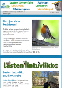 Opettajien uutiskirjeen alkuosa.