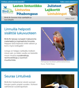 Opettajien uutiskirjeen alkuosa.